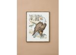 Set Per Punto Croce Permin "Aquila"", Schema Di Conteggio, 30X40Cm, 90-1305"