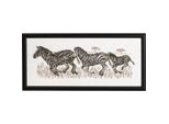 Set Permin Per Il Punto Croce "Zebra"", Schema Per Il Conteggio, 36X15Cm, 12-8325"