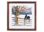 Set Per Punto Croce Permin "Cavallo"", Schema Per Il Conteggio, 25X25Cm, 92-8307"