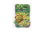 Set Punto Croce Rto "Il Vecchio Giardino Della Nonna"", Schema Contato, 12,5X17Cm C344"