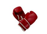 Guantoni Da Boxe Charlsten Rossi Taglia 10