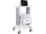 Carrello Da Laboratorio Vevor A 2 Livelli, Carrello Da Laboratorio Con 1 Cassetto E 1 Vassoio Superiore, Carrello Medico Mobile In Materiale Abs, Carrello Da Laboratorio Con 4 Ruote Silenziose