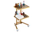 Vevor Carrello Da Laboratorio In Acciaio Inox A 2 Livelli, Carrello Da Laboratorio Con 2 Ripiani, Carrello Medico Mobile Con 4 Ruote Silenziose, Carrello Da Laboratorio Per Laboratorio, Clinica, Ospedale, Salone, Golden