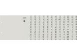 Leitz 1312-00-85 Serie 1312 Register - A-Z, Carta, A4 Extra-Large, Per 12 Cartelle, Grigio