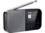 SHARP Radio DR-P520, grau, B:13cm H:7cm T:2,6cm, Radios