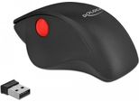 Delock Mouse Usb Ergonomico - Senza Fili