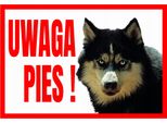 Attenzione Cane! Husky -250X175 Cartello Di Allarme Per Cani - Pannello In Pvc