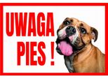 Attenzione Cane ! Buldog 250X175 Cartello Informativo - Pannello In Pvc