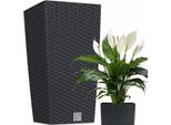 Vaso Da Fiori Prosperplast | Rato Square | Antracite | 17 Cm