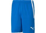 Puma Pantaloni Spodenki MęSkie Teamliga Niebieskie, 70492402, Taglia: 188