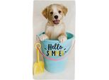 Telo Mare Con Cane Hello Summer
