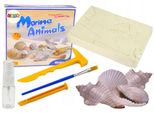 Set Archeologico Di Animali Marini