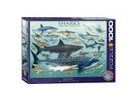 Eurographics Puzzle Squali 1000 Pezzi