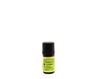 Menta Speziata Organica 5Ml