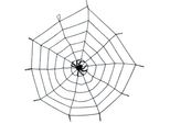 Decorazione Ragnatela Di Halloween Con Ragno Nero