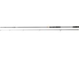 Daiwa Legalis Allround, 3M, 9.84Ft, 40-120G, 2 Pezzi, Canna Da Pesca Allround, 11766-307