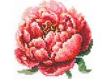 Magic Needle Zweigart Edition Kit Punto Croce "Red Peony"", Contato, Fai Da Te, 11X11Cm"