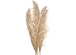 Fiori Secchi Clayre & Eef 142 Cm Beige Brown Fiori Secchi