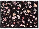 Zerbino Astra Lavabile Pure & Soft Nero 50 X 70 Cm