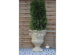Vaso Di Fiori Di Design Con Fioriera Superiore, Vaso Di Figura, Scultura Petra Nuovo