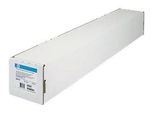 Ruolo Hp Q8920A "Carta Fotografica Satinata A Inchiostro Pigmentato Per Uso Quotidiano"" (24""/610 Mm, Ruolo 30,5 M, 235 G/M2)"