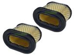 2 X Filtro Aria Mtd 214IP 216IP Motore Briggs & Stratton B&S 690610 / Toro 98-9212