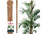 Kotarbau® Palo Di Muschio Per Monstera Noce Di Cocco Naturale ⌀ 3,2 X 120 Cm Palo Per Piante Supporto Per Piante Monstera Palo Di Cocco Palo Per Piante Palo Per Piante Palo Di Muschio Monstera Supporto Per Piante Palo Per Fiori Palo Di Muschio