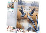 Pittura Con I Numeri 40X50 Cm Massido Cranes