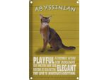 Vianmo Insegna Di Latta 30X20 Cm Abyssinian Katze Playful Elegant
