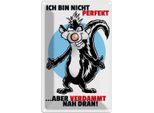 Vianmo Insegna Di Latta 30X20 Cm Bin Nicht Perfekt Aber Nah Dran