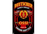 Vianmo Insegna Di Latta 30X20 Cm Deutscher Geburt Original Ossi