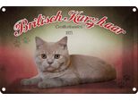 Vianmo Insegna Di Latta 12X18 Cm Katze British Kurzhaar GroßBritanien
