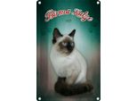 Vianmo Insegna Di Latta 30X20 Cm Katze Birma Katze 1925