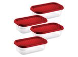Premium Tiefkühldosen - 4er-Set