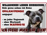 Vianmo Insegna Di Latta 12X18 Cm Hund Willkommen Einbrecher