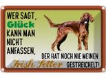 Vianmo Insegna Di Latta 20X30 Cm GlüCk Irish Setter Hund