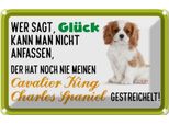 Vianmo Insegna Di Latta 20X30 Cm Cavalier King Charles Spaniel