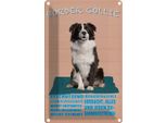 Vianmo Insegna Di Latta 18X12 Cm Border Collie Hund Intelligent