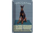 Vianmo Insegna Di Latta 30X20 Cm Dobermann Lernt Schnell Hund
