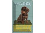 Vianmo Insegna Di Latta 18X12 Cm Dackel Hund Lebhaft Mutig Stur