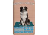 Vianmo Insegna Di Latta 18X12 Cm Border Collie Hund Protective