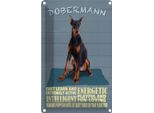 Vianmo Insegna Di Latta 30X20 Cm Dobermann Hund Fast Learn And