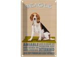 Vianmo Insegna Di Latta 30X20 Cm Beagle Hund Loves To Follow Any