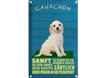Vianmo Insegna Di Latta 30X20 Cm Cavachon Hund Sanft ZäRtlich