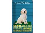 Vianmo Insegna Di Latta 30X20 Cm Cavachon Hund Gentle Affectionat