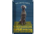 Vianmo Insegna Di Latta 18X12 Cm Weimaraner Hund Wachsam Schnell