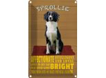Vianmo Insegna Di Latta 30X20 Cm Sprollie Hund Intelligent Loyal