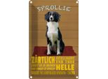 Vianmo Insegna Di Latta 30X20 Cm Sprollie Hund ZäRtlich Und Treu