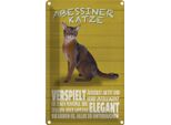 Vianmo Insegna Di Latta 30X20 Cm Abyssinian Katze Verspielt