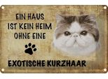Vianmo Insegna Di Latta 12X18 Cm Exotische Kurzhaar Katze